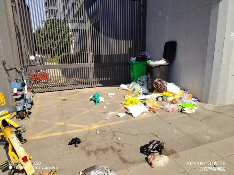 沌口新建商品房双屿大观怎么成这样了